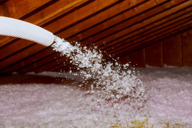 Best Types of Insulation in Rainier, WA