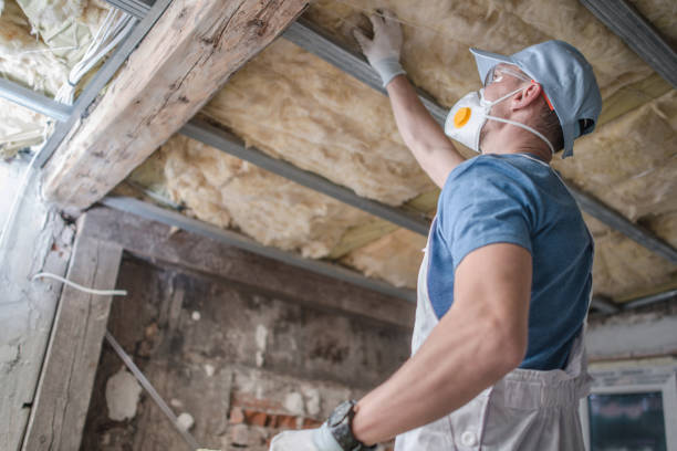 Best Insulation Maintenance and Repair in Rainier, WA