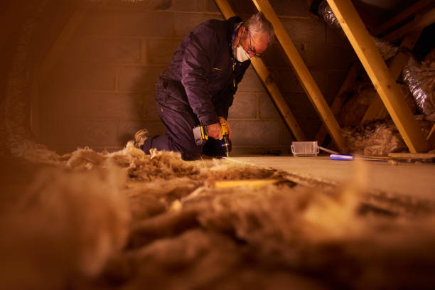 Best Insulation Installation Services in Rainier, WA